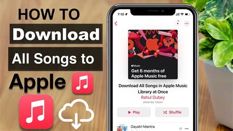 how to see how many songs i have on apple music how to make my apple music library more organized