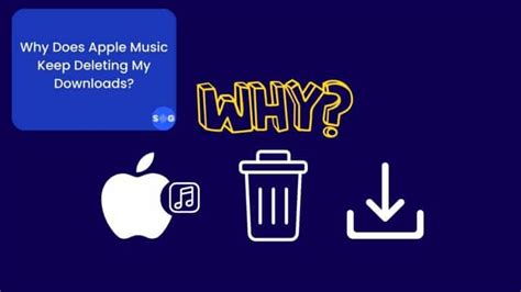 Why Does Apple Music Sound Low, and Does It Really Impact Our Listening Experience?